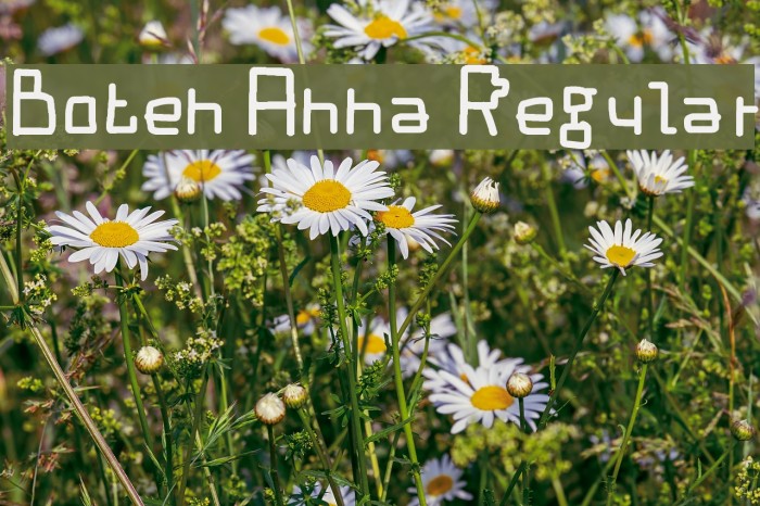 Boten Anna Regular Example 1