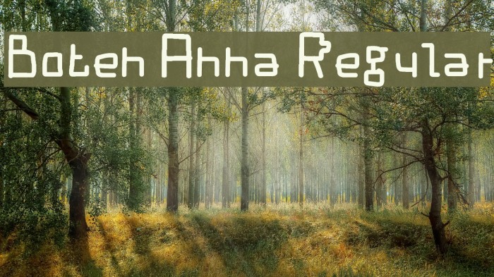 Boten Anna Regular Example 2