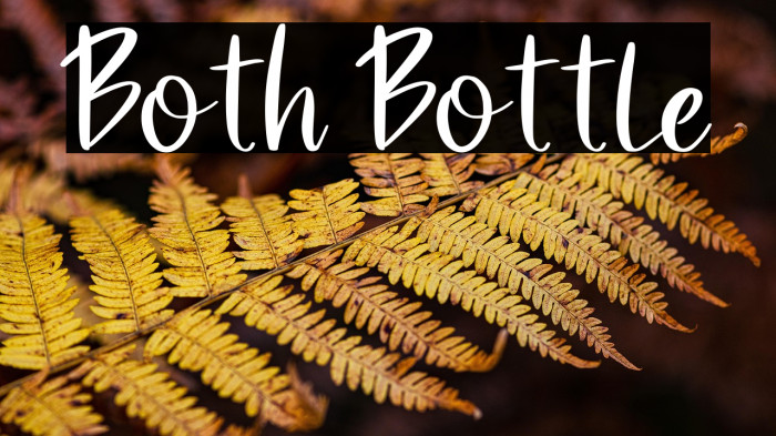 Both Bottle Example 3