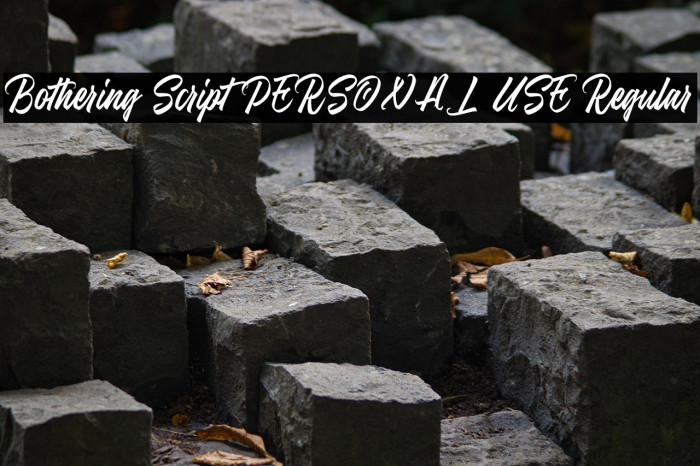 Bothering Script PERSONAL USE Regular Example 3