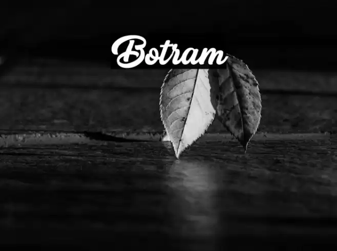 Botram Font examples