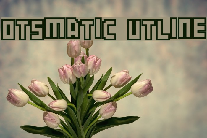 Botsmatic Outline Font examples