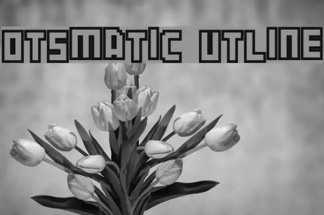 Botsmatic Outline Example 3