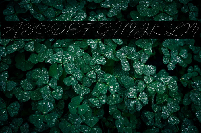 BotterillSignature Example 1