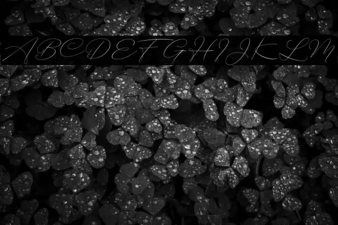 BotterillSignature Font examples