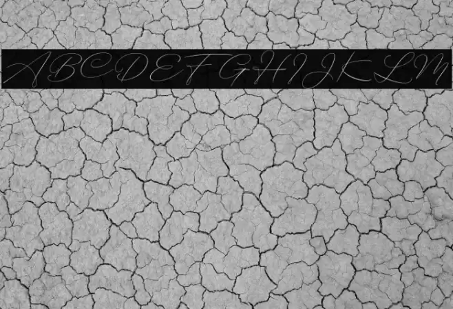 BotterillSignature Font examples