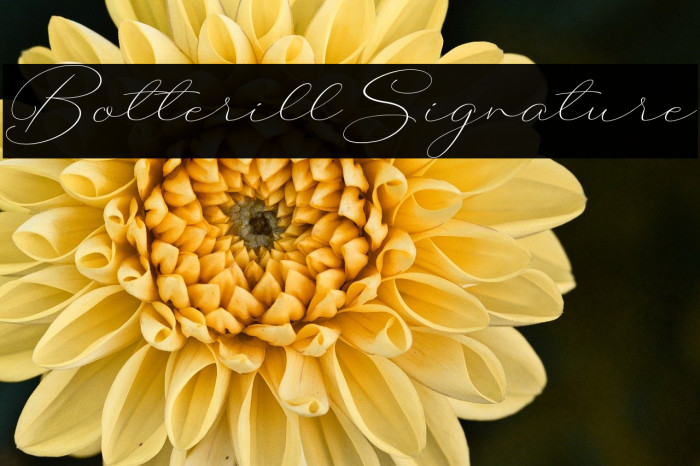 BotterillSignature Example 1