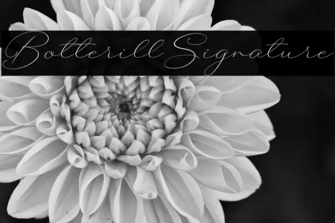 BotterillSignature फ़ॉन्ट examples