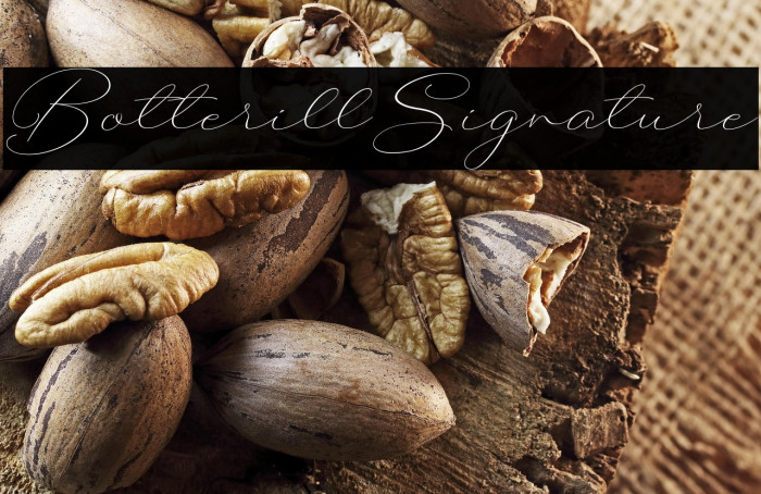 BotterillSignature Example 3