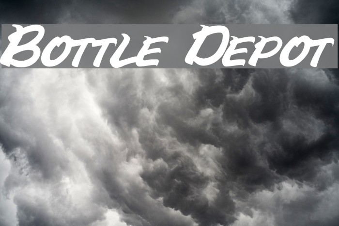 Bottle Depot Example 3