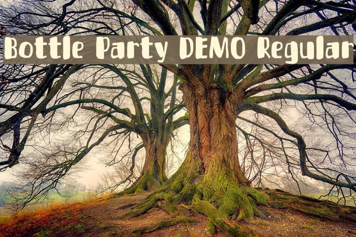 Bottle Party DEMO Regular Font examples