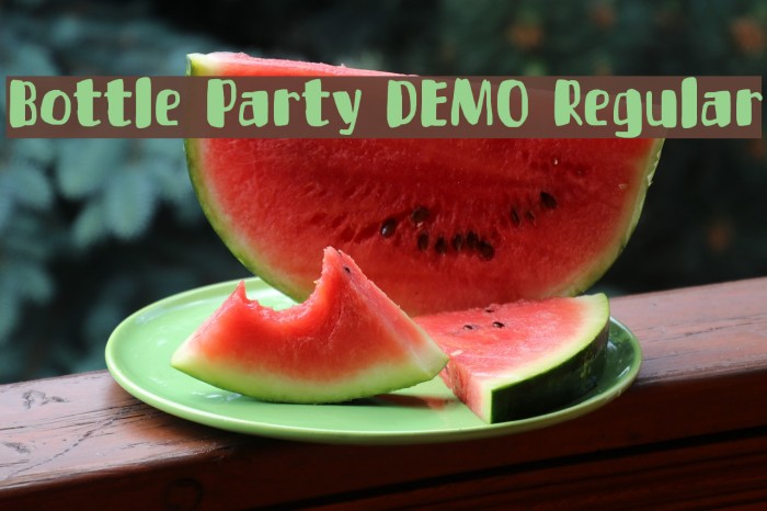 Bottle Party DEMO Regular Font examples