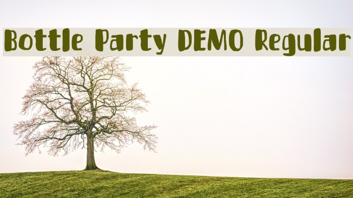 Bottle Party DEMO Regular Font examples