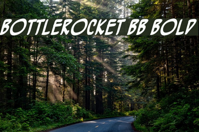 BottleRocket BB Bold Font examples