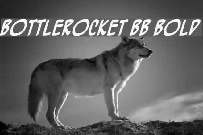 BottleRocket BB Bold Font examples