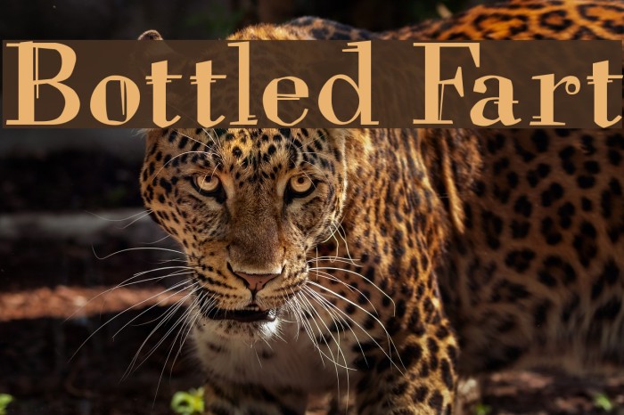 Bottled Fart Polices examples
