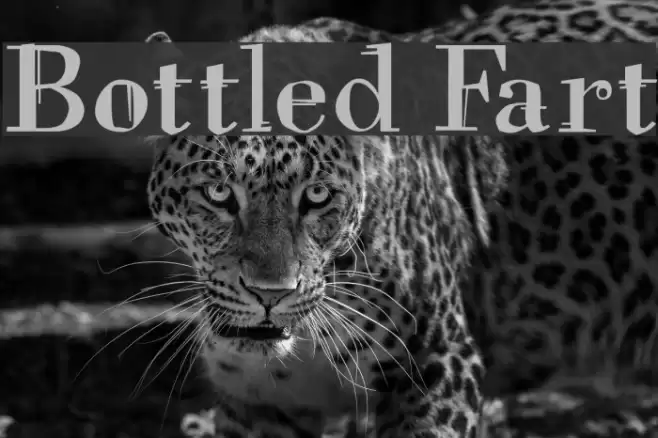 Bottled Fart Polices examples