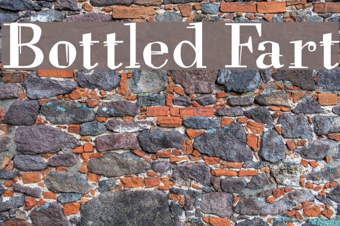 Bottled Fart Polices examples