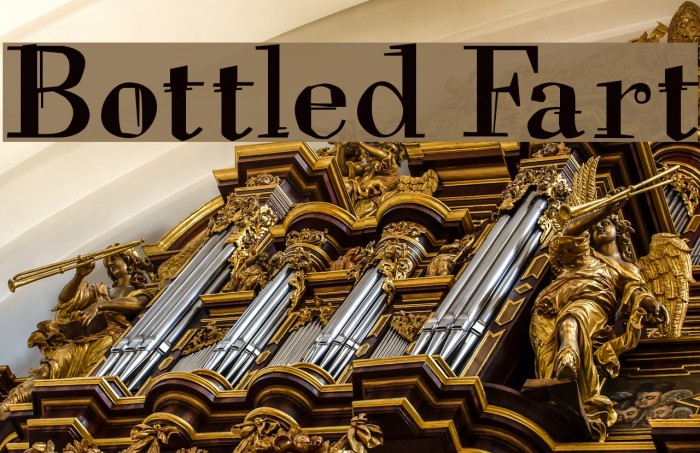 Bottled Fart Polices examples