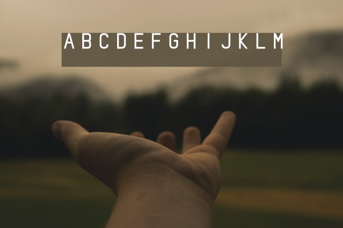 Bottled It Central Example 3