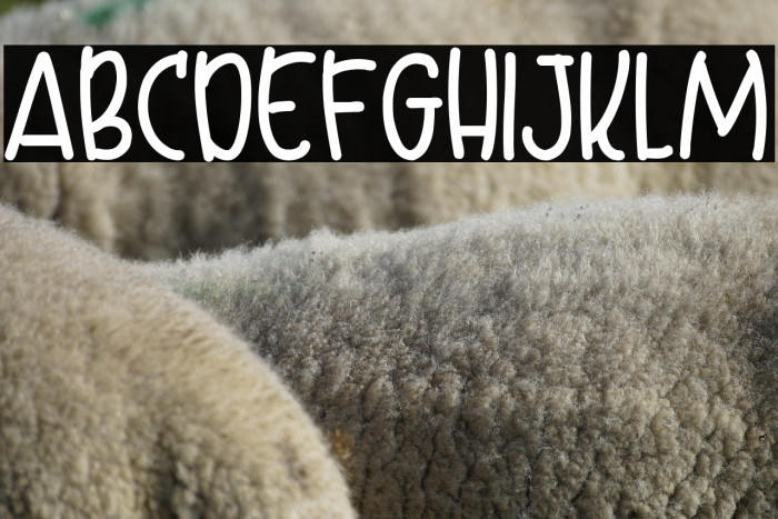 Bottler Shake Example 1