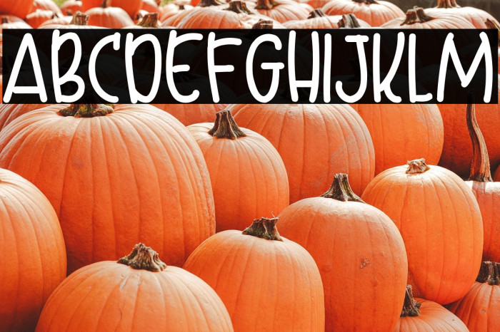 Bottler Shake Example 2