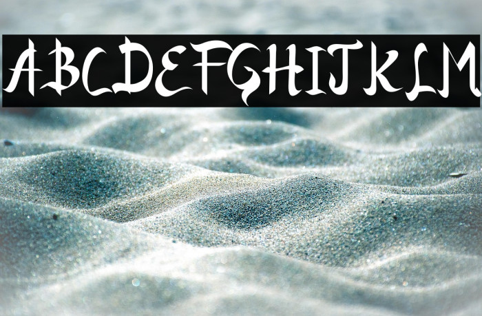 Bottom Royale Demo Example 1