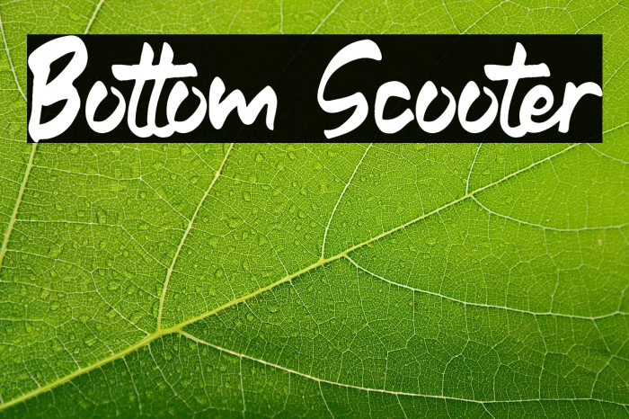 Bottom Scooter Example 1