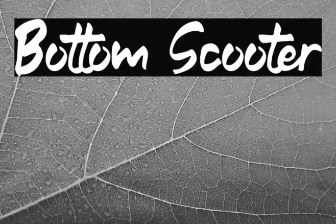 Bottom Scooter Font examples