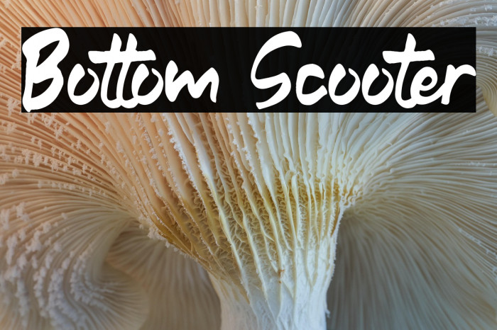 Bottom Scooter Example 3