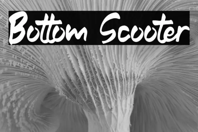 Bottom Scooter Font examples