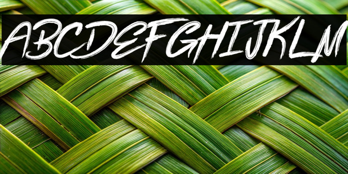 Bottomless Script Example 2