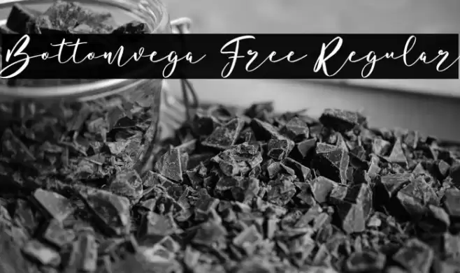 Bottomvega Free Regular Font examples