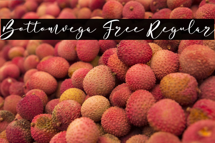 Bottomvega Free Regular Example 2