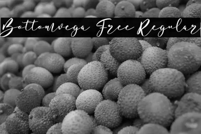 Bottomvega Free Regular Font examples