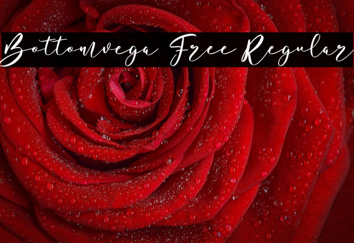 Bottomvega Free Regular Example 3