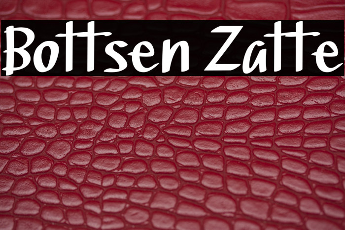 Bottsen Zatte Example 1