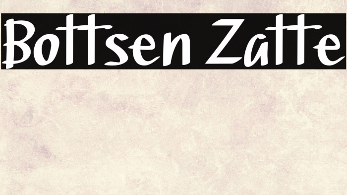 Bottsen Zatte Example 2