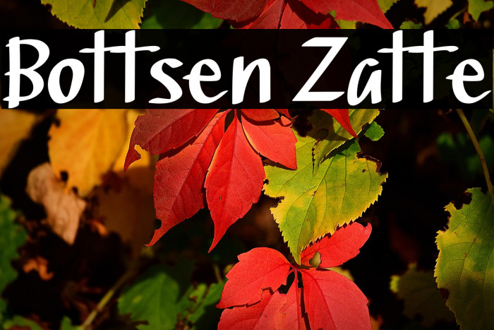 Bottsen Zatte Example 3