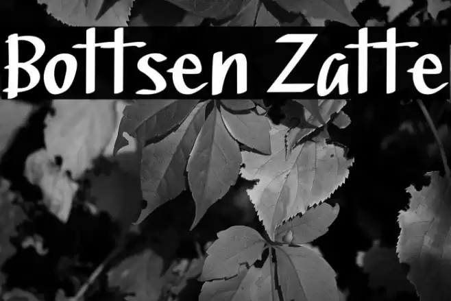 Bottsen Zatte फ़ॉन्ट examples