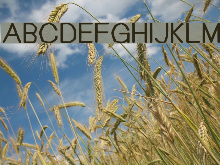 Bou Handwriting Titling Font examples