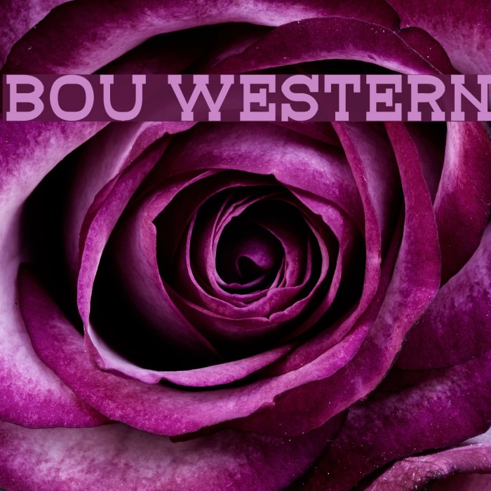 Bou Western Font examples