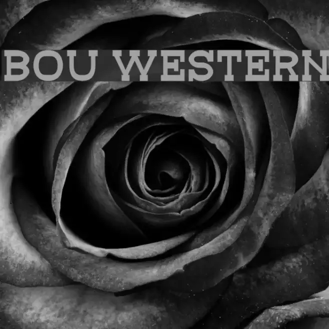 Bou Western Example 3