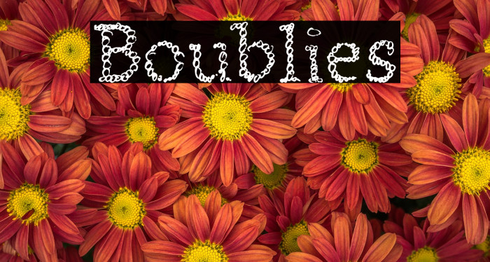 Boublies Example 2