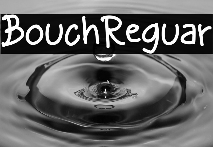 Bouchil Regular Example 1