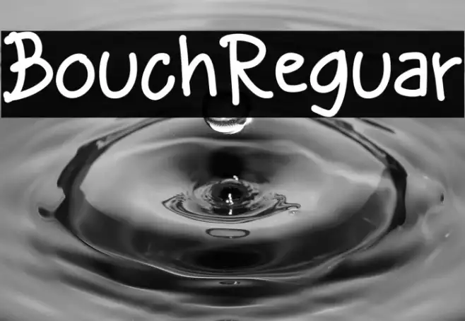 Bouchil Regular Example 1
