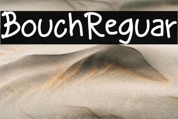 Bouchil Regular Example 2