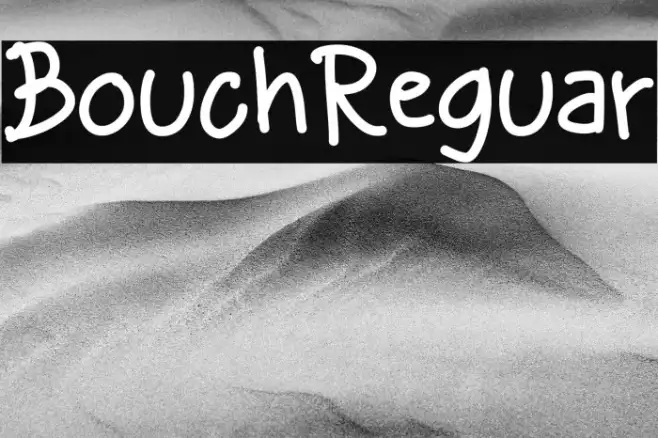 Bouchil Regular Example 2