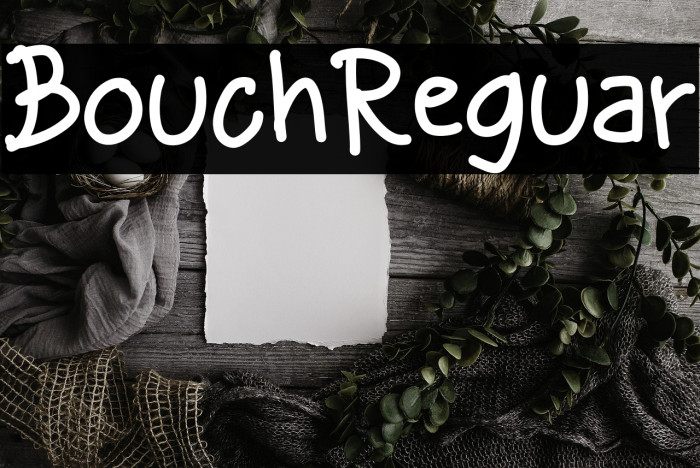 Bouchil Regular Example 3