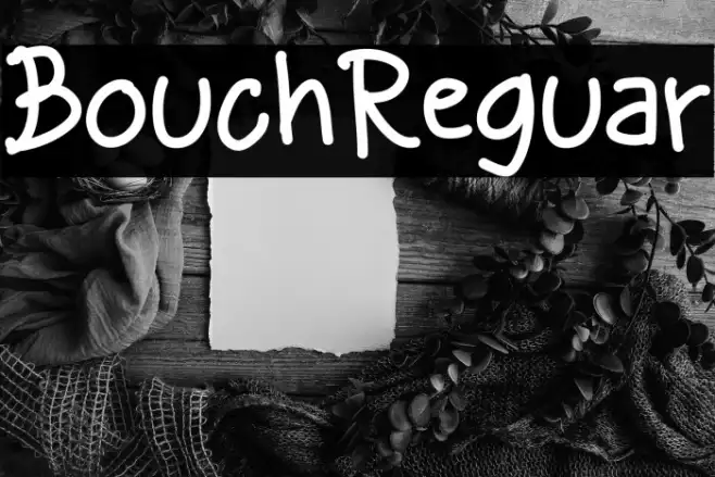 Bouchil Regular Example 3